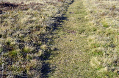 image to crop