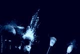 preview cold
