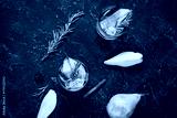 preview cold