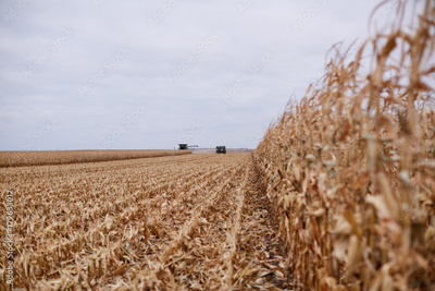 image to crop