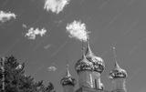 preview bw