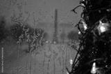 preview bw