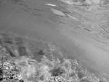 preview bw