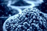 preview cold