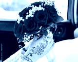 preview cold
