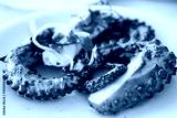 preview cold