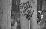 preview bw