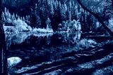 preview cold