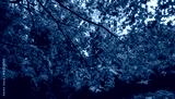 preview cold