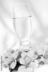 preview bw