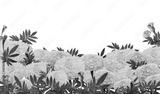 preview bw
