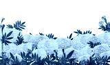 preview cold