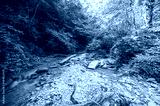 preview cold