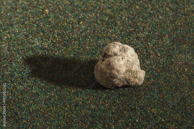 image to crop