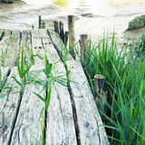 preview original
