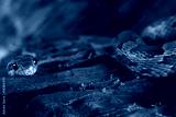 preview cold