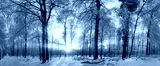 preview cold