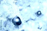 preview cold