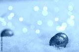 preview cold