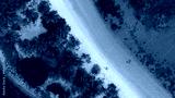 preview cold