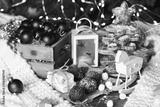 preview bw