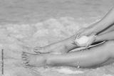 preview bw