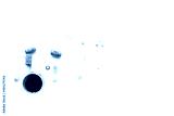 preview cold