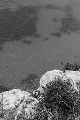 preview bw