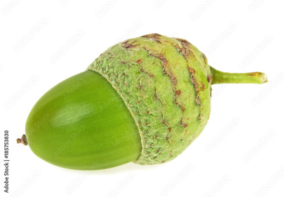 image to crop