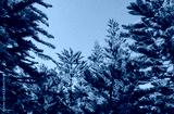 preview cold