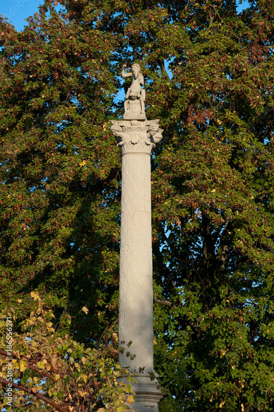 image to crop