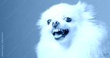 preview cold