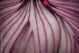 preview original