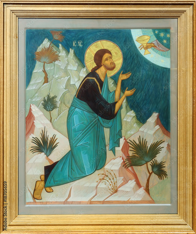 image to crop