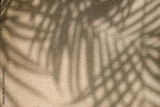 preview original