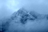 preview cold