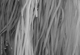 preview bw