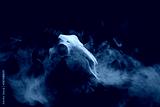 preview cold