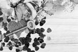 preview bw