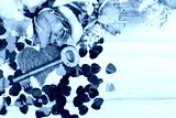 preview cold
