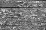 preview bw