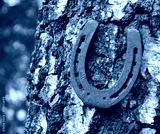 preview cold