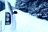preview cold