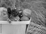 preview bw