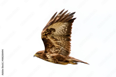 image to crop