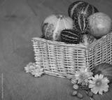 preview bw