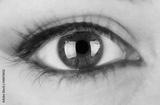 preview bw