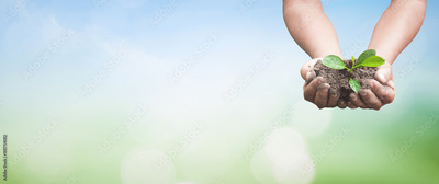 image to crop