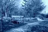 preview cold