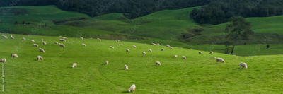image to crop